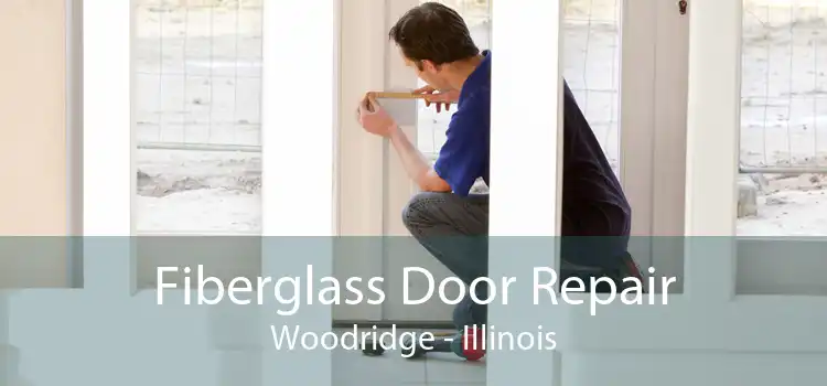 Fiberglass Door Repair Woodridge - Illinois