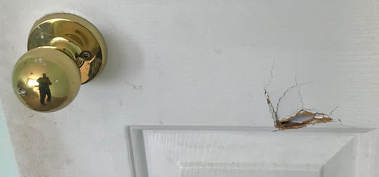 interior door hole repair Naperville, IL