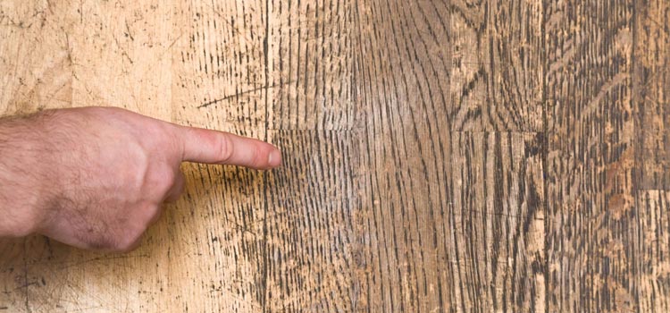 Wood Door Scratch Repair in Woodridge